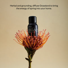 Vitruvi Legacy Woodsy bottle shows rose-bergamot-frankincense-cedarwood notes for home use.