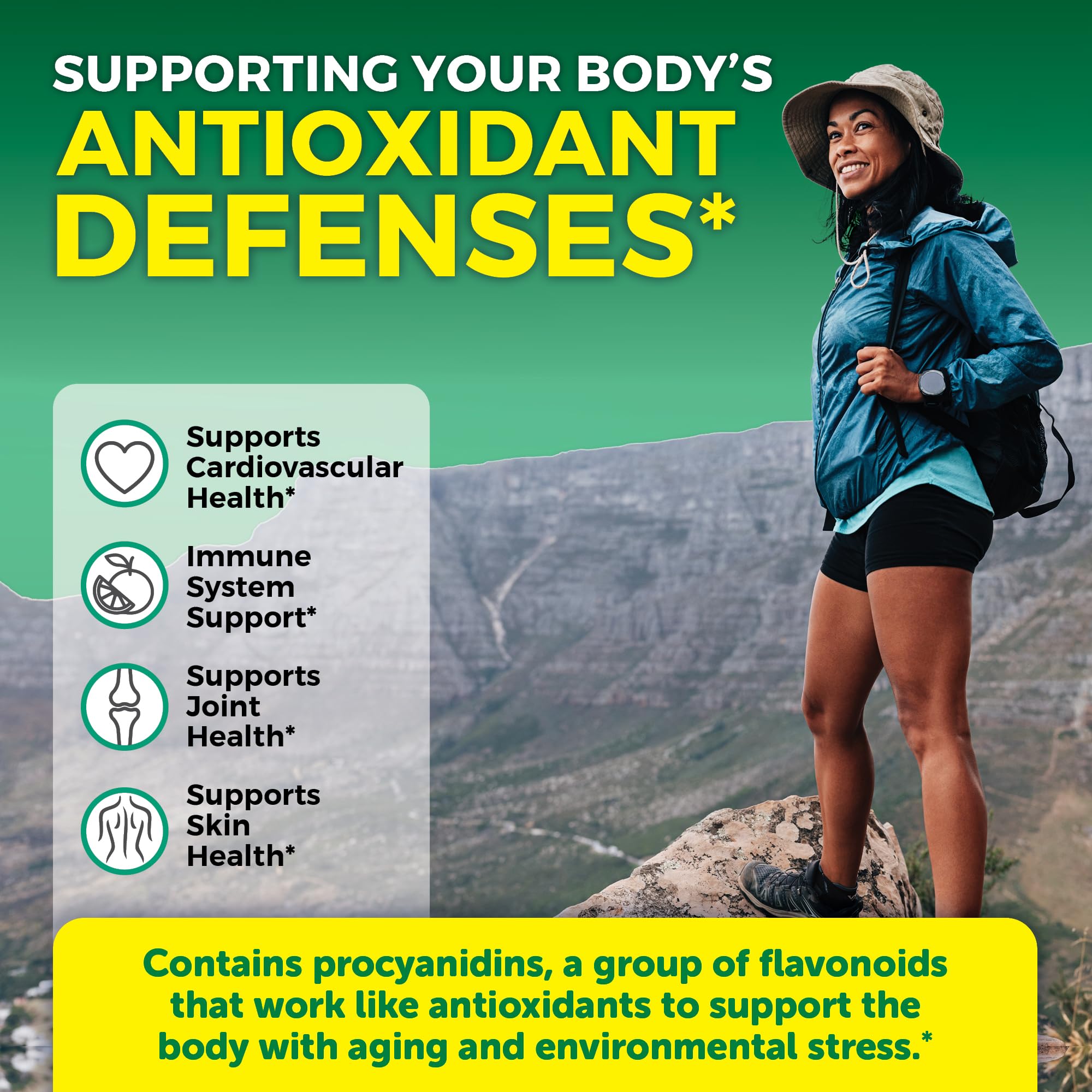 Viva Naturals Pycnogenol daily-dosed capsules on a clean surface for daily circulation support.