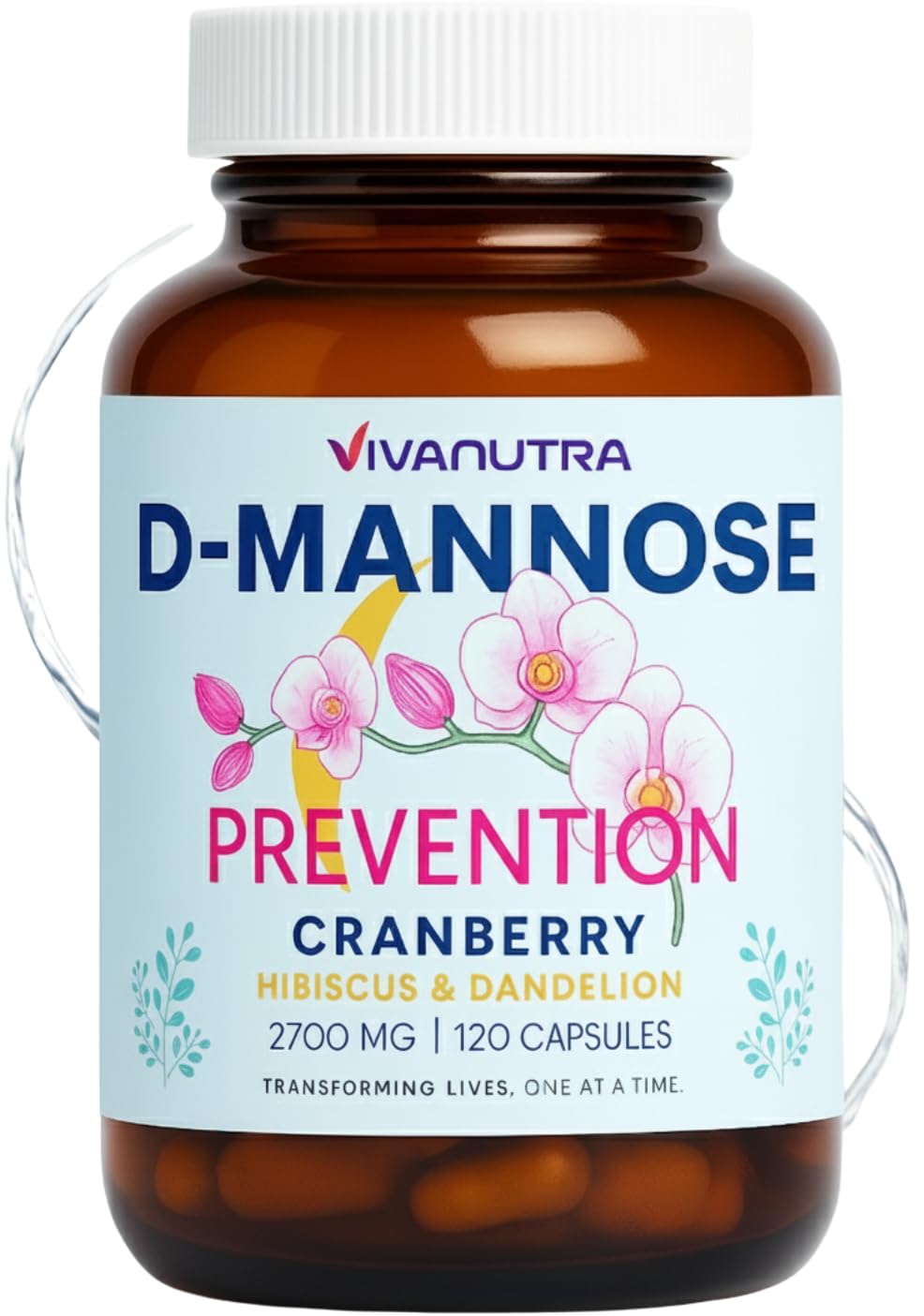 VIVANUTRA cranberry pills for women bottle highlighting daily urinary wellness.