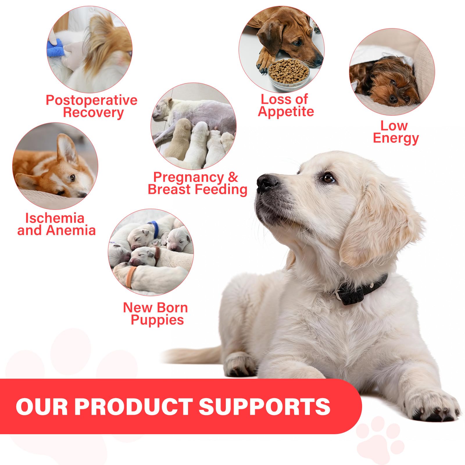 VivaElixir Iron Dog chewable close-up, gentle formula for sensitive stomachs.