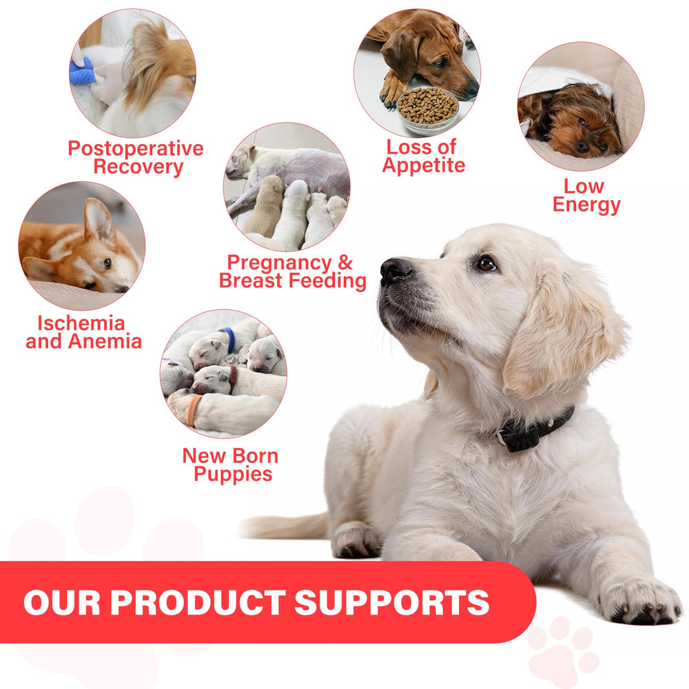 VivaElixir Iron Dog chewable close-up, gentle formula for sensitive stomachs.