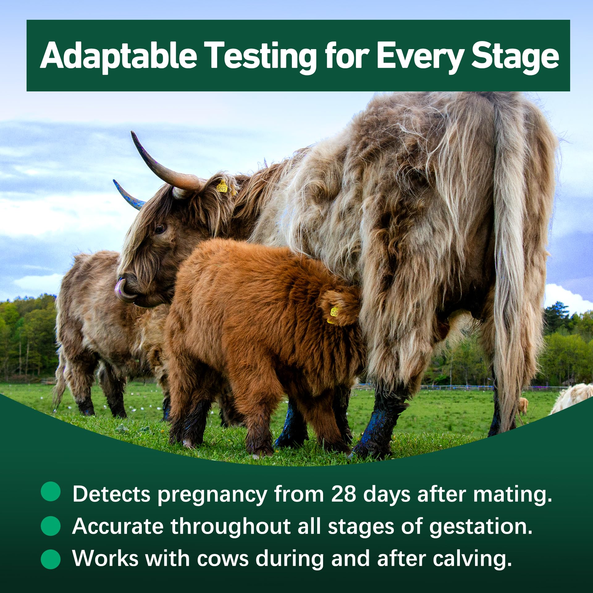 Vivometra dairy cow on-farm testing scenario illustrating use.