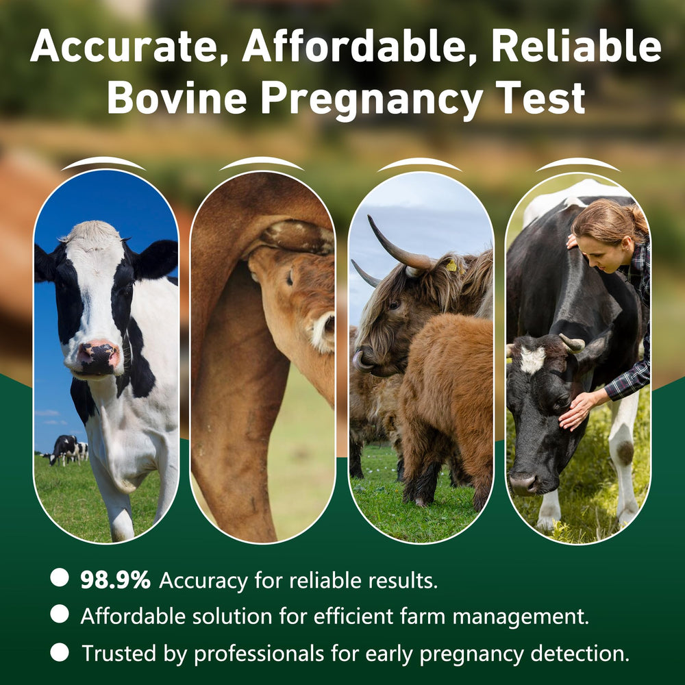 Vivometra testing strips ready for rapid pregnancy detection in cattle.
