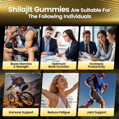 VivoNu Shilajit Gummies Himalayan origin label signals purity and premium sourcing