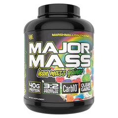 VMI Sports Major Mass scoop close-up for lean mass goals