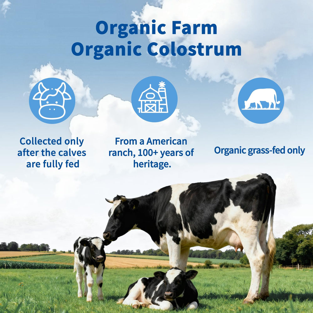 VNNIQ colostrum powder dissolves in water for tasteless supplementation