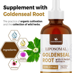 Close-up of golden seal root and herbal blend with Vuvionoso.