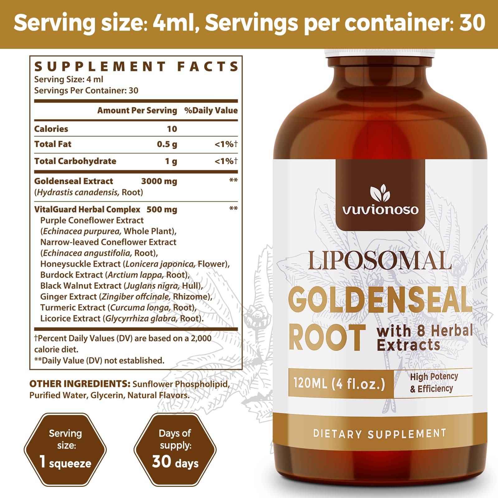Illustration of liposomal technology in Vuvionoso Golden Seal tincture.