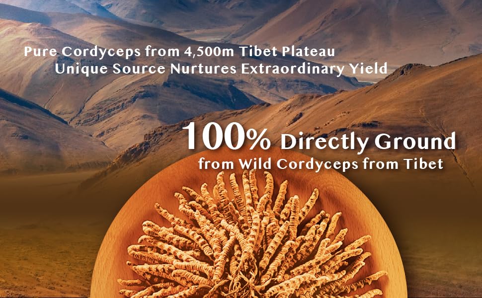 Wai Yuen Tong immune support pack layout promotes wellness options
