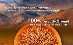 Wai Yuen Tong immune support pack layout promotes wellness options