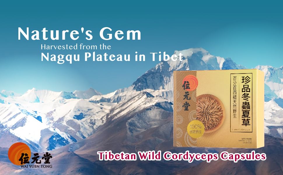 Wai Yuen Tong raw ground cordyceps origin imagery highlights 100% wild origin