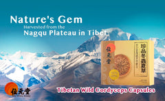 Wai Yuen Tong raw ground cordyceps origin imagery highlights 100% wild origin