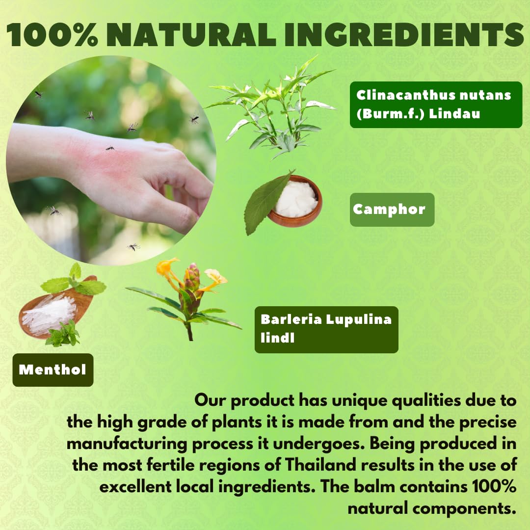 WANG PROM Saledphangphon ingredients closeup with Barleria lupulina and Clinacanthus extracts