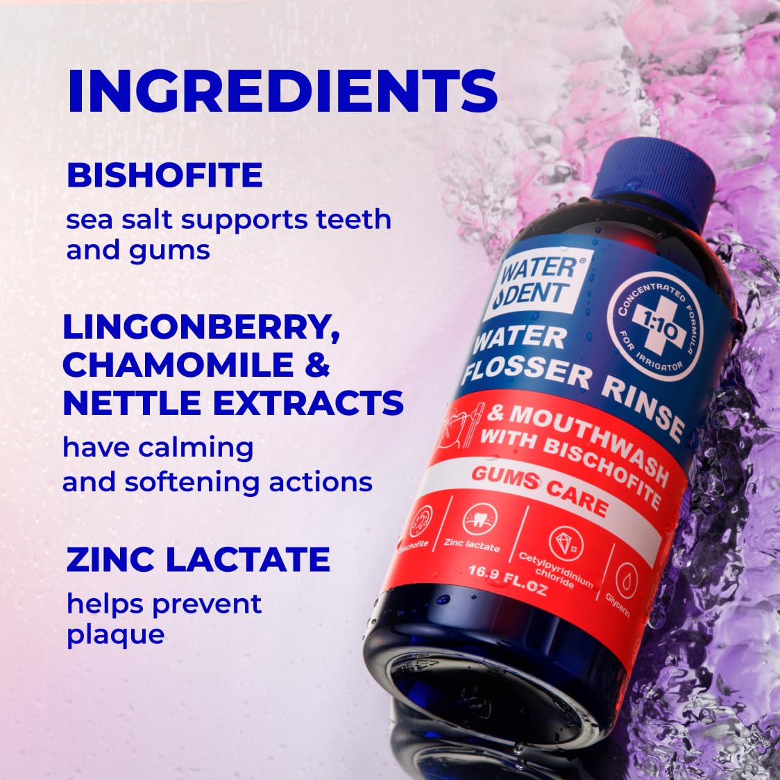 WATER DENT interdental-cleanse area demonstrates rinse reaching between teeth