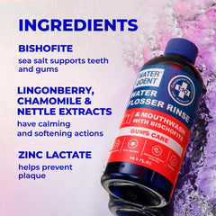 WATER DENT interdental-cleanse area demonstrates rinse reaching between teeth