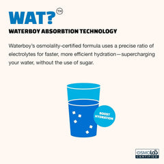 Waterboy gluten-free, no sugar hydration option with natural ingredients.
