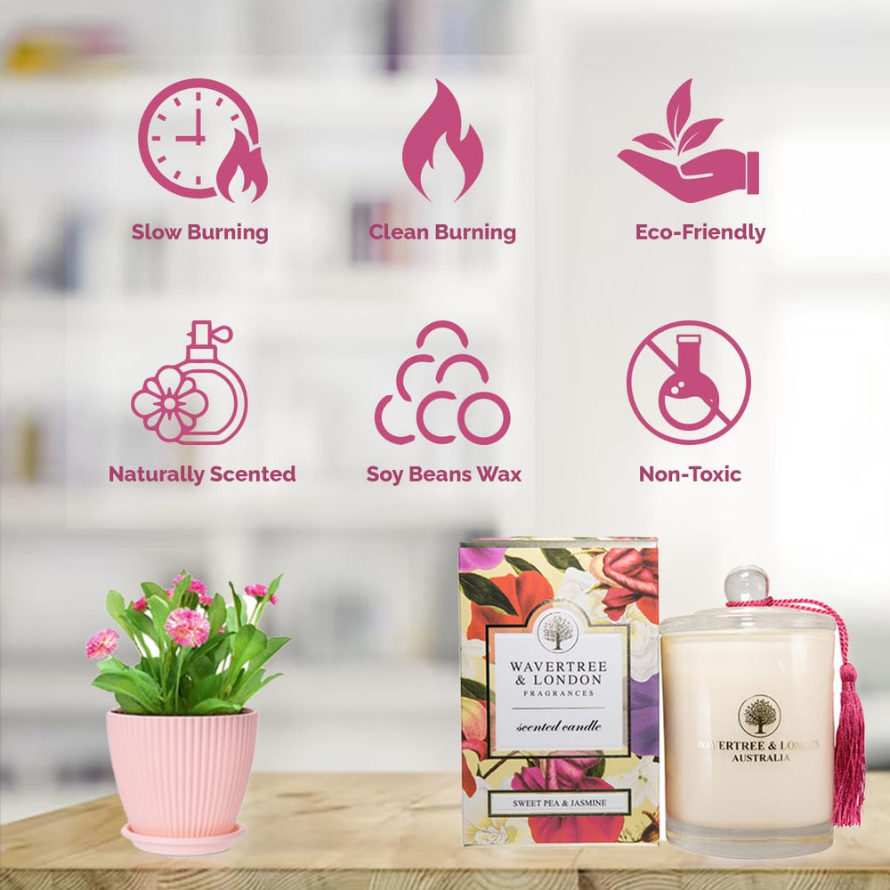 Wavertree London organic soy candle packaging ready to gift
