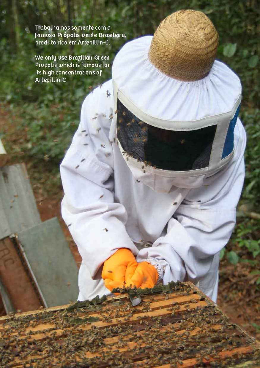 Wax Green Brazil sustainable factory image highlighting eco-friendly production.