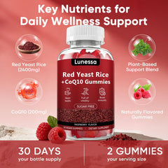 WDVNEX Lunessa CoQ10 and red yeast rice ingredients close-up