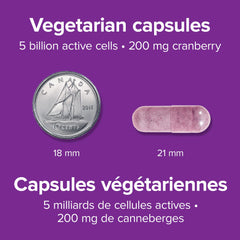 Capsules pouring from Webber Naturals bottle for daily use.