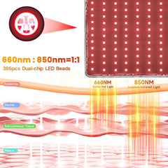 WEETALL dual-chip LEDs with 660nm red and 850nm near-infrared technology