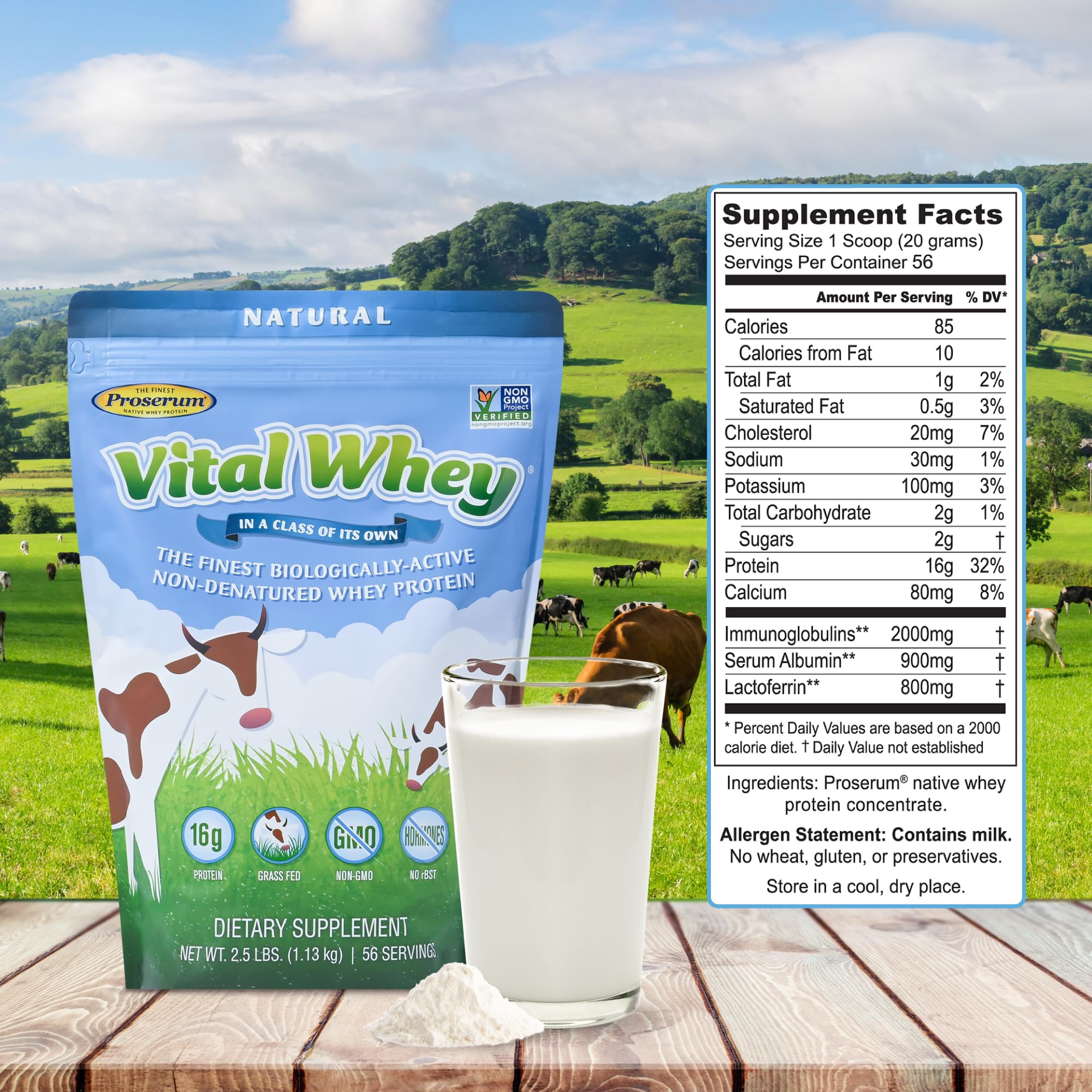 Well Wisdom Vital Whey label close showing gluten-free and dairy based protein option
