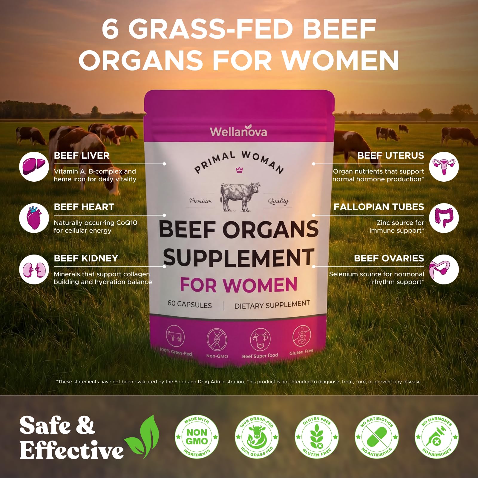 Wellanova Primal uterus tissue detail emphasizes unique source of hormone-friendly nutrients.