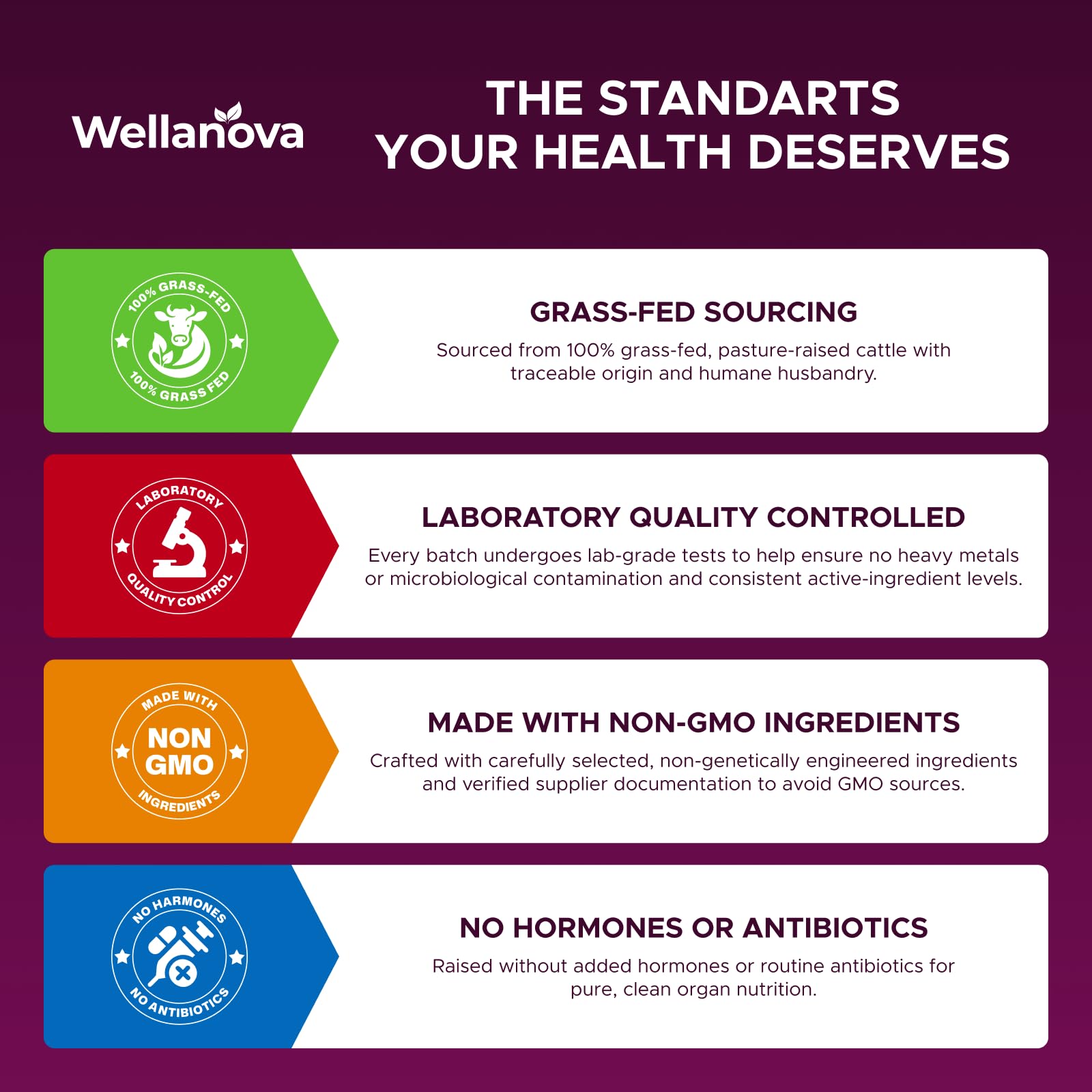 Wellanova Primal women’s energy routine image implies practical daily wellness benefits.