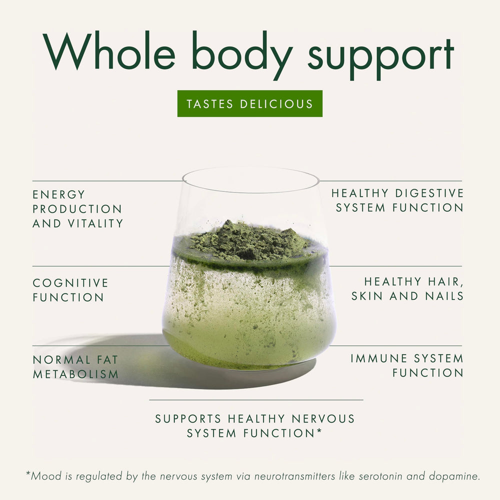 WelleCo Super Elixir powder scoop demonstrates precise serving for consistency.