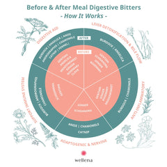 Wellena bottle back label with ingredients and usage