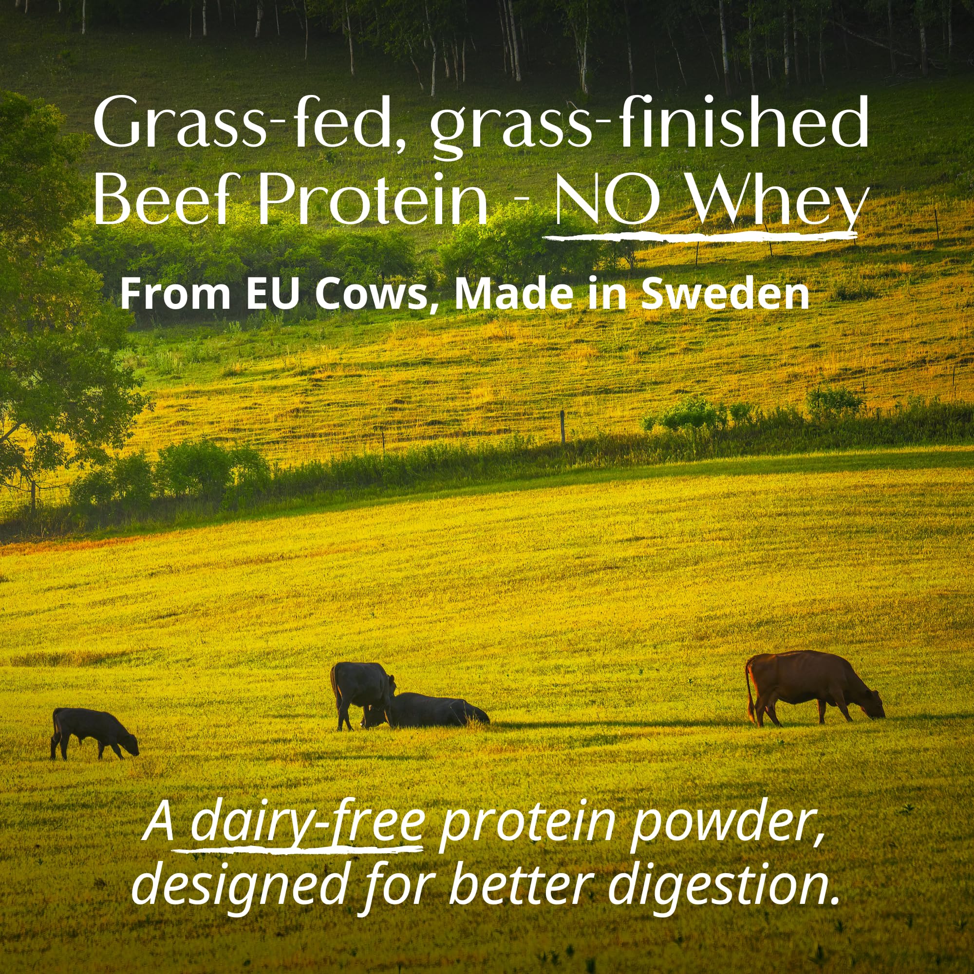 Wellena Her Protein Sweden processing highlights gentle extraction