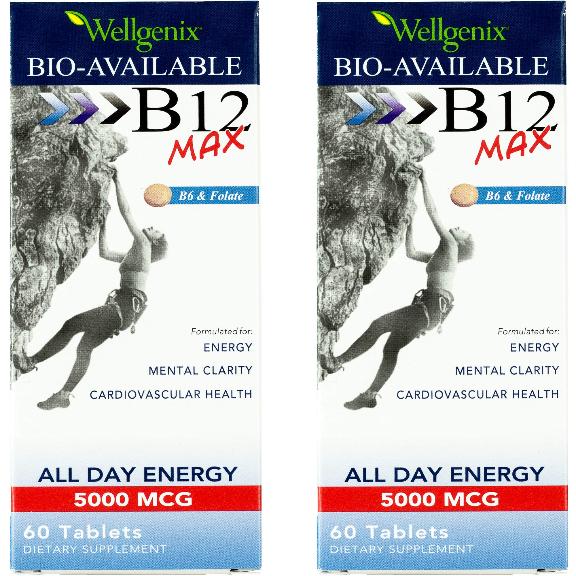 Wellgenix Bio-Available Sublingual B12 Max bottle front view highlighting fast-dissolve tablets