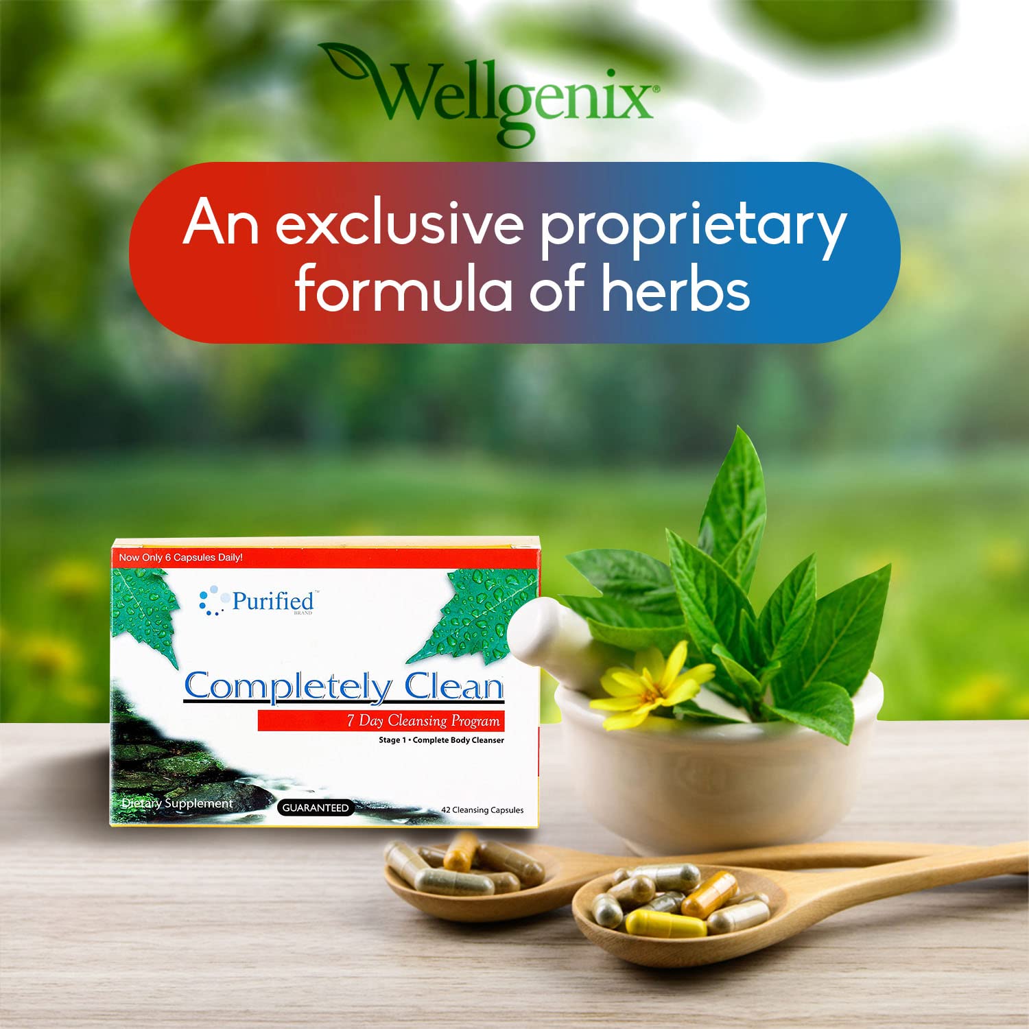 Wellgenix Omni Completely Clean consumer testimonial card with positive user note