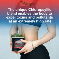 Wellgenix Puriclean ready-to-use packets support flavor-forward detox