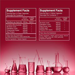Wellgenix Puriclean X2 capsules close-up highlighting extra strength detox support.