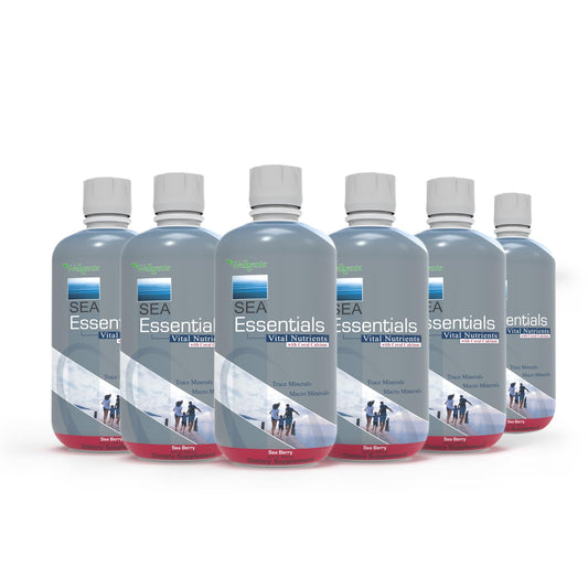 Wellgenix Sea Essentials bottle-pack shown for daily mineral routine