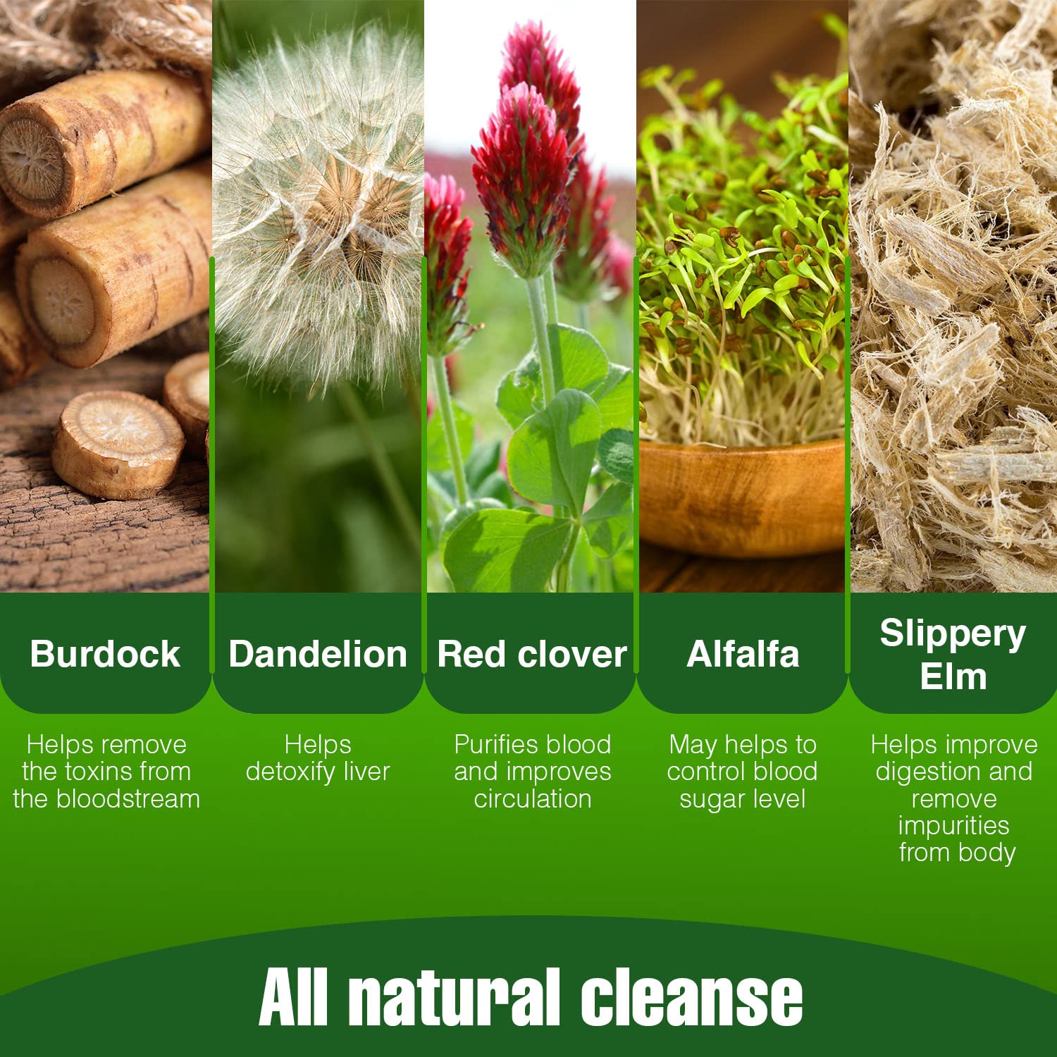 Wellgenix Strip 5 Day Detox capsules closeup reveals herbal blend texture.