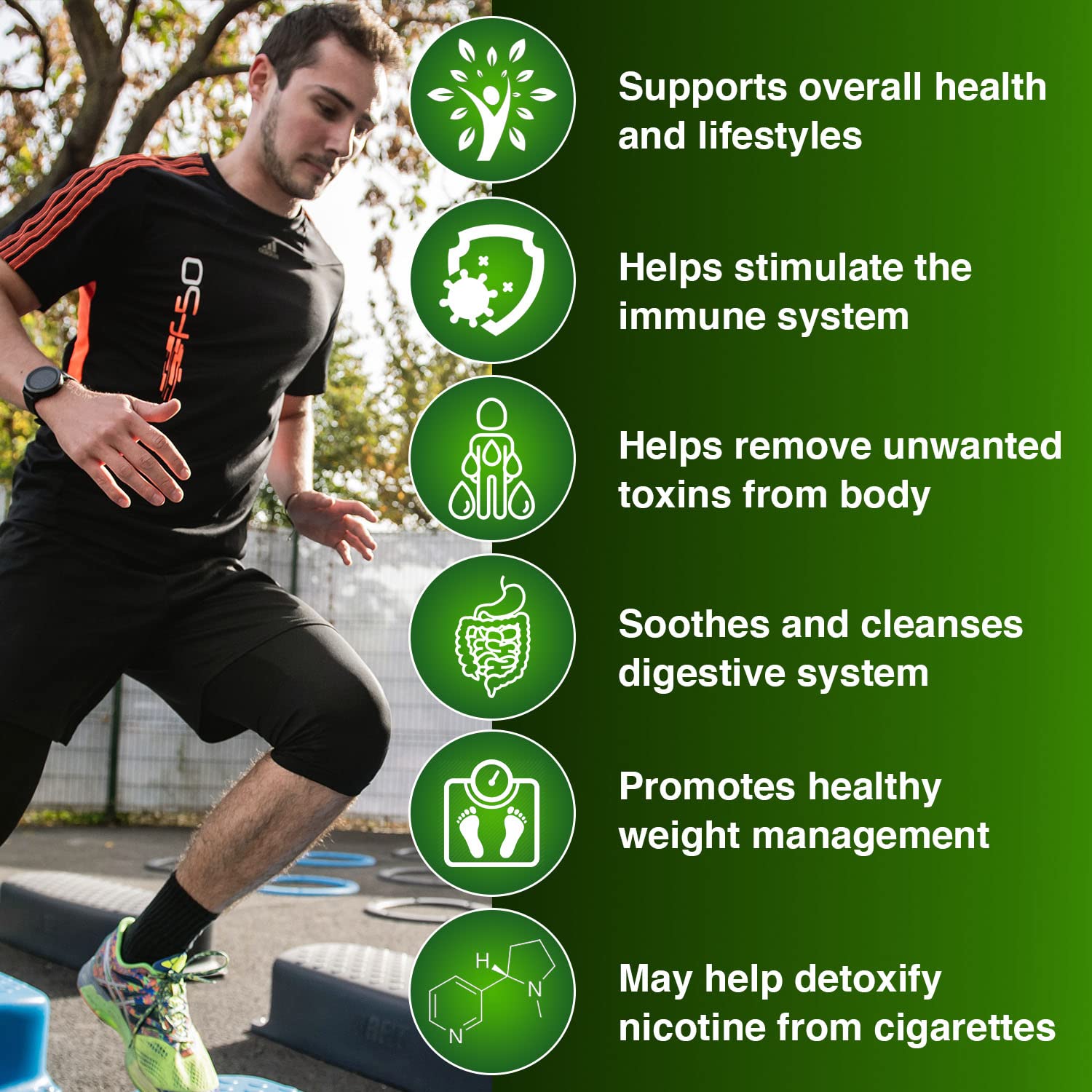 Wellgenix Strip 5 Day Detox packaging box on display for easy identification.