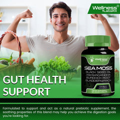 Diagram of digestive system with WELLNESS LABSRX capsules for gut comfort.