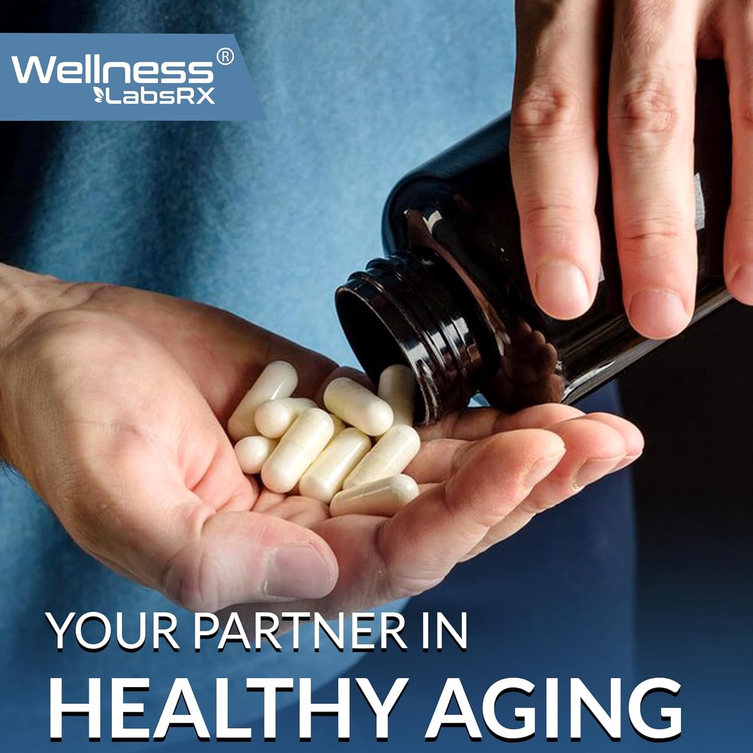 Wellness LabsRx Resveratrol display implying immune support potential.