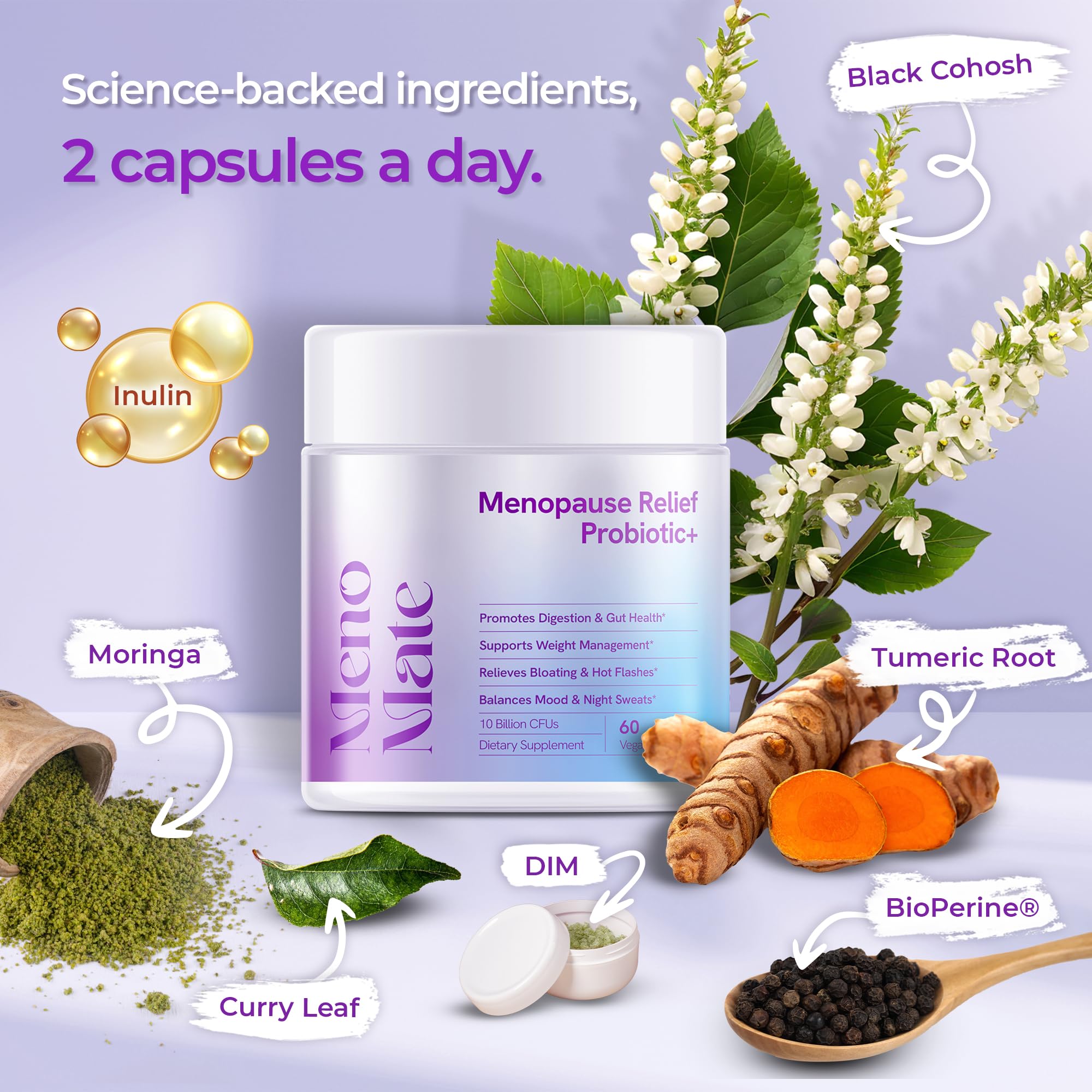 Wellness Nest MenoMate capsules closeup—10B CFU probiotic blend fosters balanced digestion.