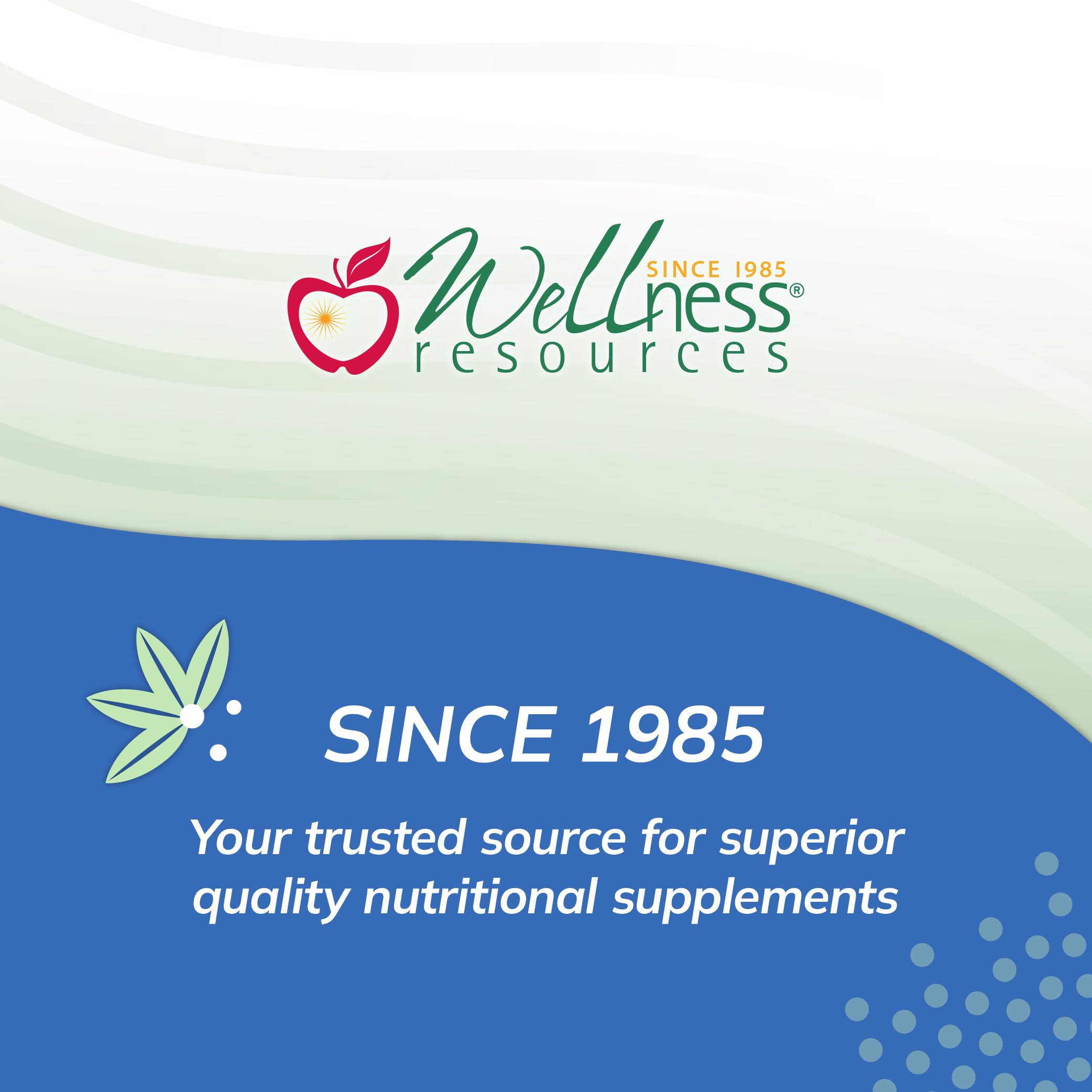 Coenzyme B12 and Vitamin C icons suggest absorption and energy support.