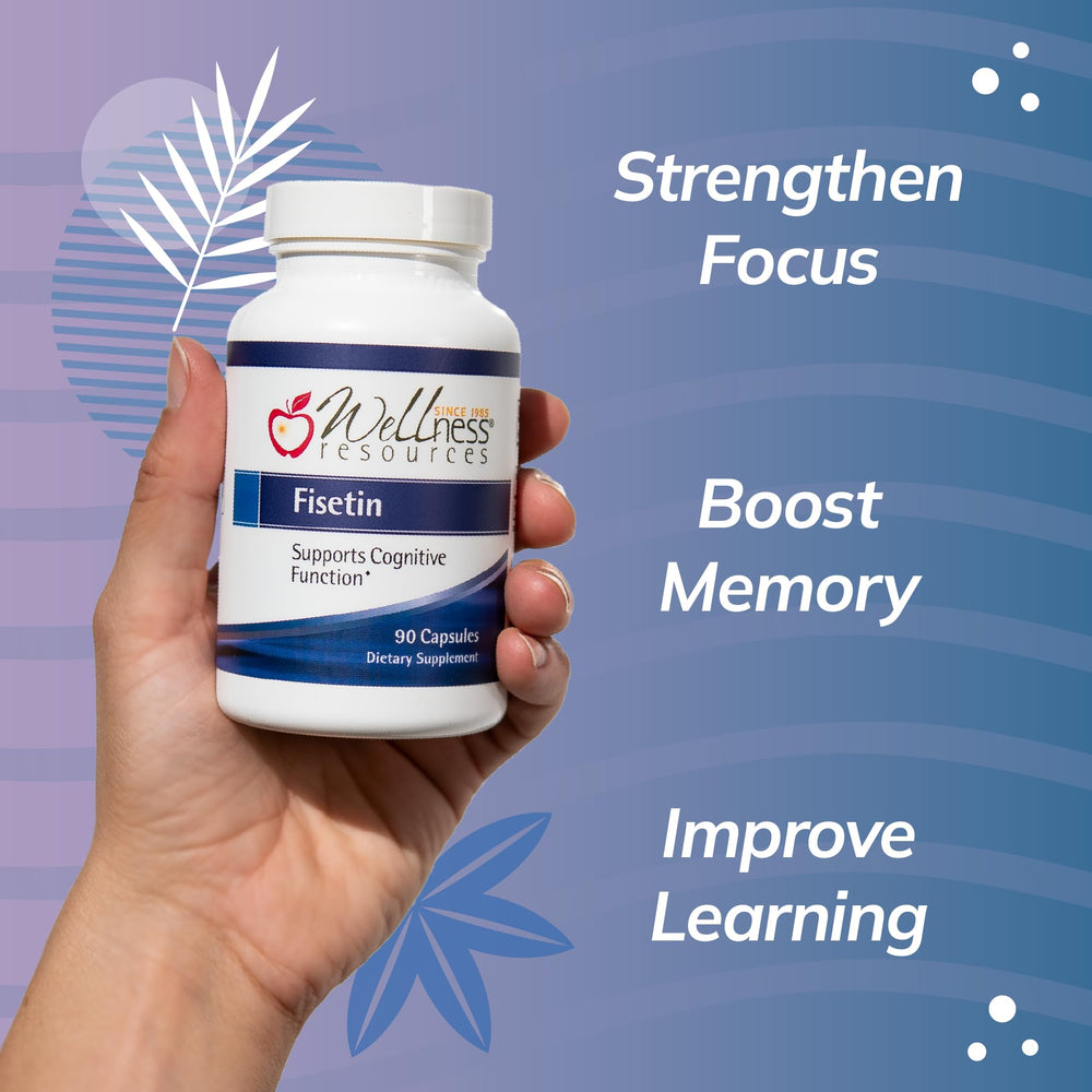 Brain health illustration featuring Wellness Resources fisetin and memory focus