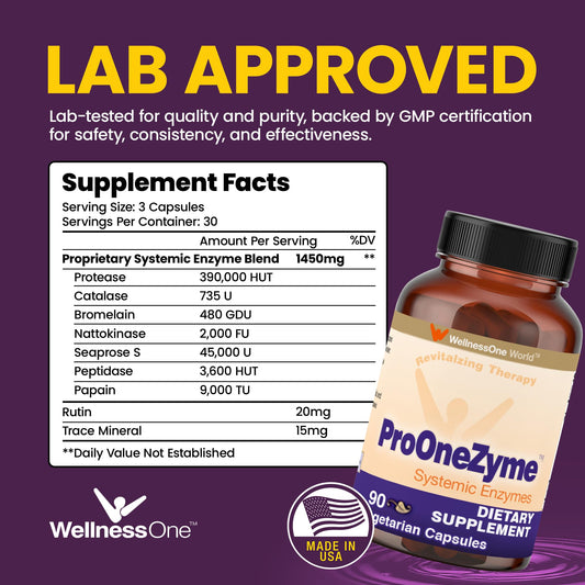 WellnessOne ProOneZyme capsules close-up for daily digestive support.