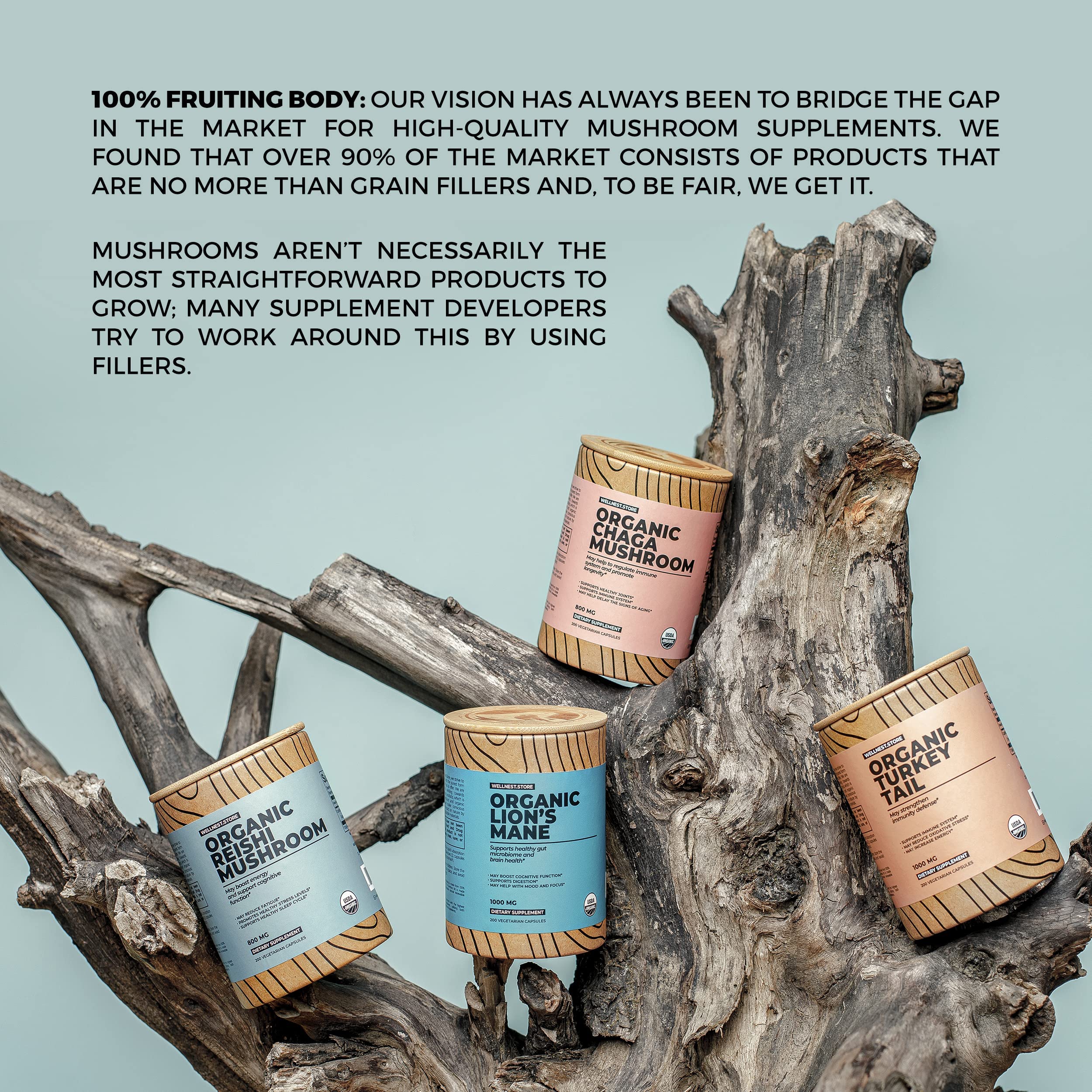 Wellnest Store Everyday wellness scene with Reishi capsules on display.