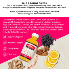 Wellthee MORNING RESET bottle label lists ingredients for daily vitality