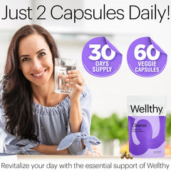 Wellthy Full Body Detox milk thistle component visible in the blend.