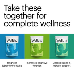 Wellthy HIS daily multivitamin tablets close-up showing capsules and daily use.