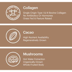 Wellthy Suggested-use card, demonstrates mixing with milk or coffee