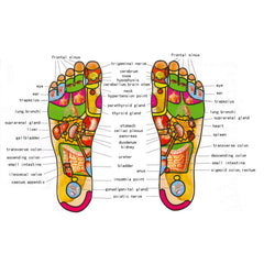 WELLWAY foot massager roller assembled for easy setup and stability.